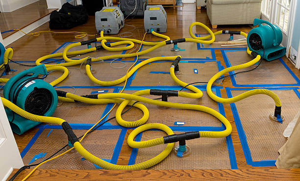 Professional Storm Water Damage Restoration technician working in Halltown, MO